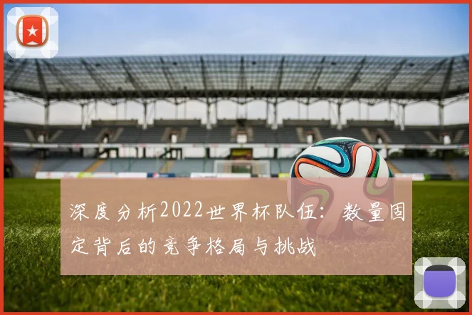 深度分析2022世界杯队伍：数量固定背后的竞争格局与挑战
