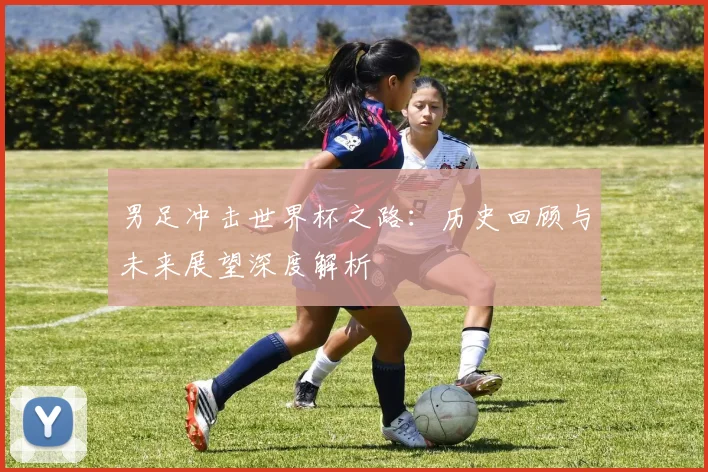 男足冲击世界杯之路：历史回顾与未来展望深度解析