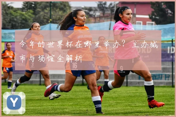 今年的世界杯在哪里举办？主办城市与场馆全解析